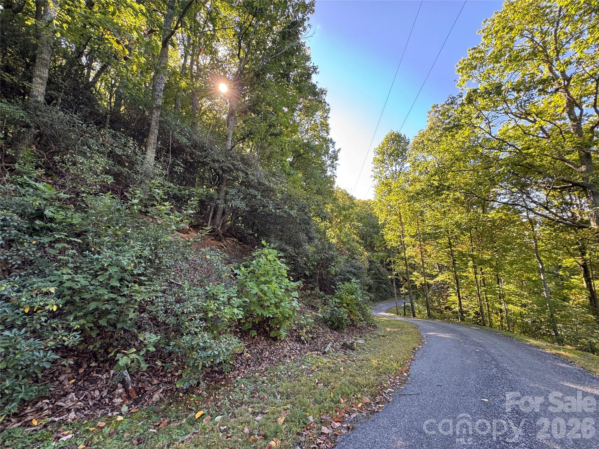 Tbd Red Oak Forest Road Fairview, NC 28730 - Photo 5 of 9 a view of a pathway both side of yard