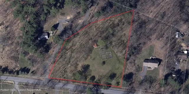 a view of a city with lush green forest