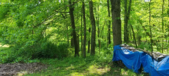a yard with lots of green space