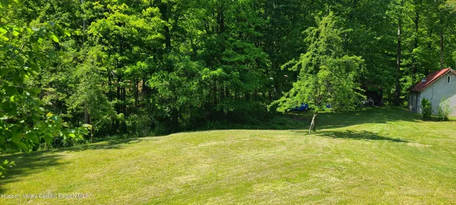 a view of a swimming pool with a backyard