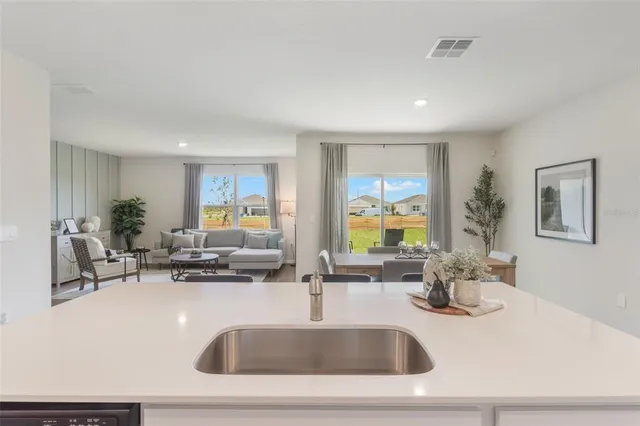 a kitchen with a sink and a large mirror with potted plant