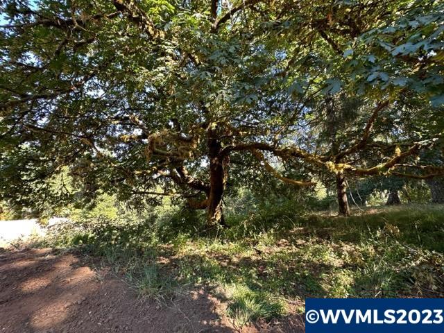 526258 Southwest Pumpkinseed Road Willamina, OR 97396 - Photo 21 of 24