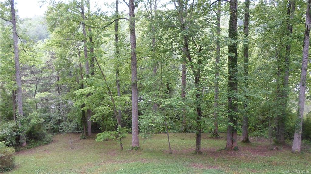 175 Music Camp Road Brevard, NC 28712 - Photo 5 of 8 Gallery Image 5
