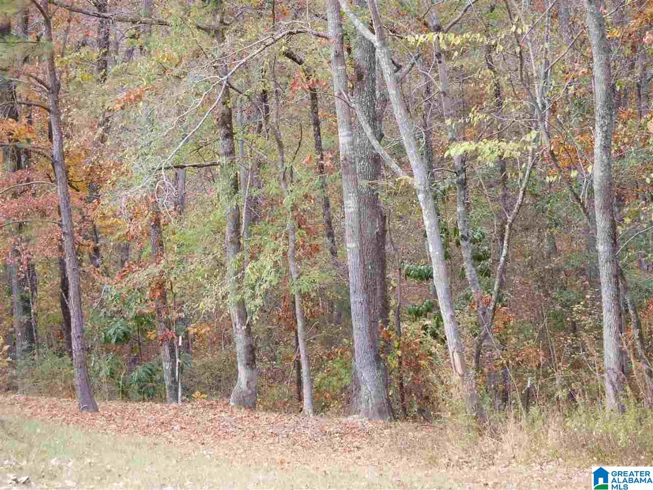 2795 Wolf Pond Road Talladega, AL 35160 - Photo 22 of 24