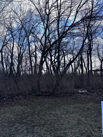 a view of backyard with green space