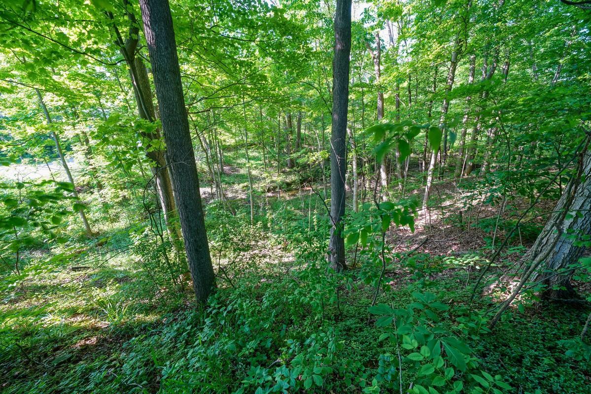 21734 Ringgold Southern Road Circleville, OH 43113 - Photo 45 of 57 Gallery Image 45