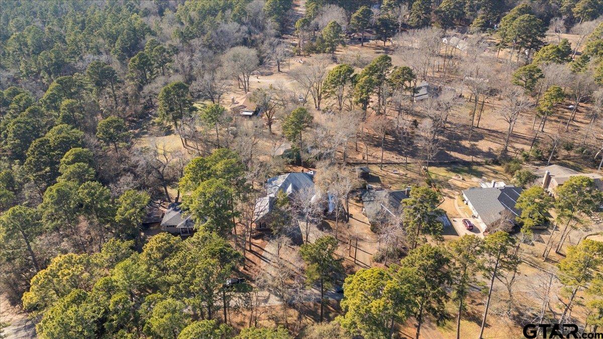 1336 Bridle Path Lane Hideaway, TX 75771 - Photo 28 of 48
