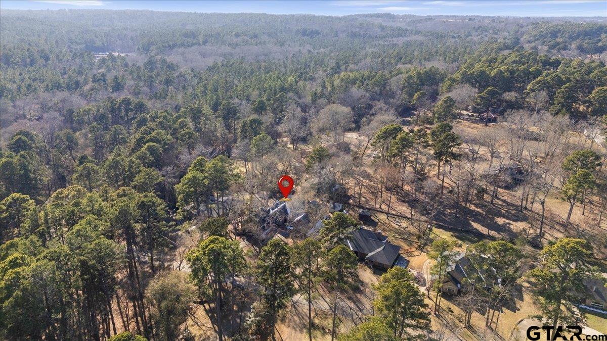 1336 Bridle Path Lane Hideaway, TX 75771 - Photo 29 of 48 a view of city with lush green forest