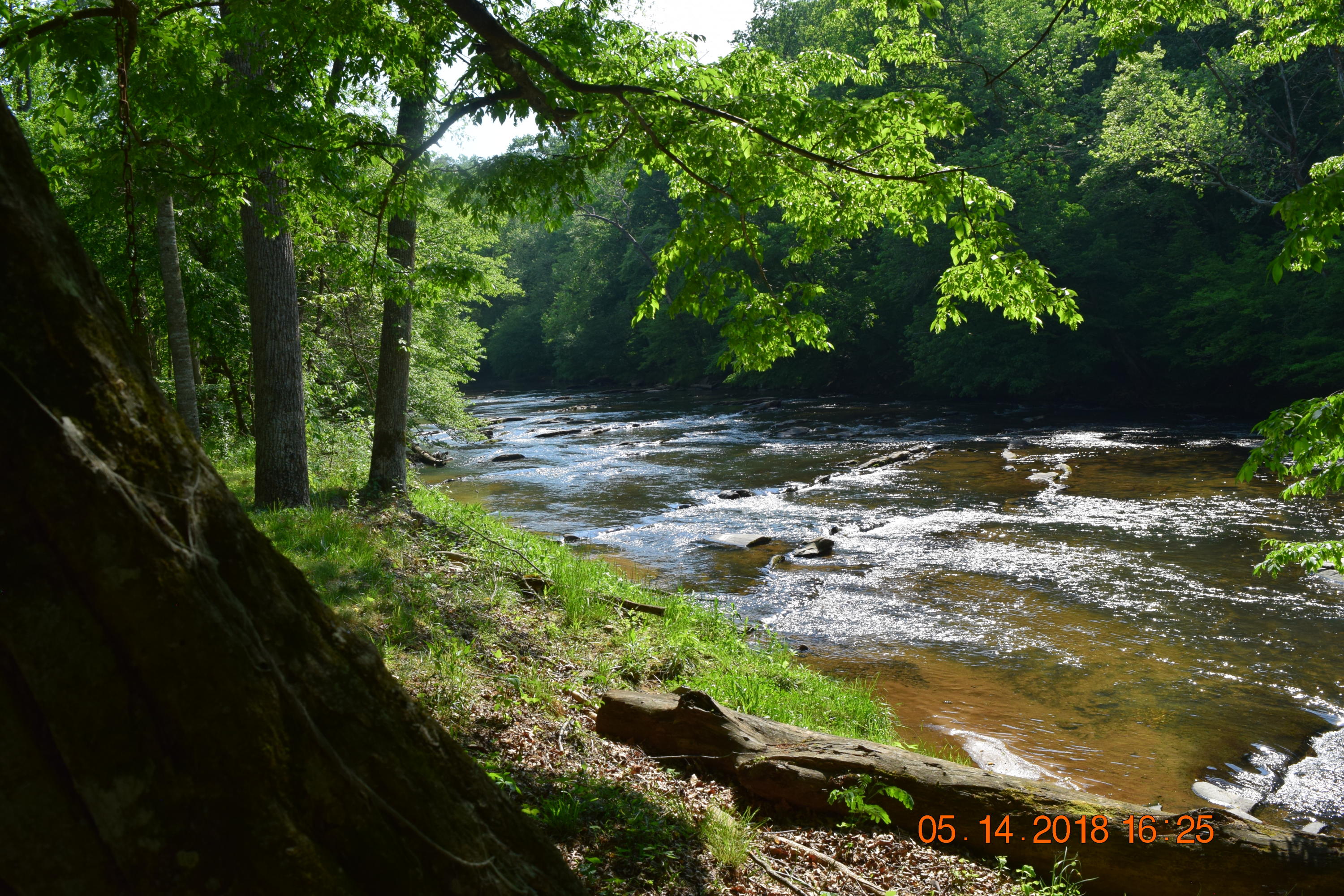 1813 Altice Mill Road Rocky Mount, VA 24151 - Photo 11 of 44 DSC_0988