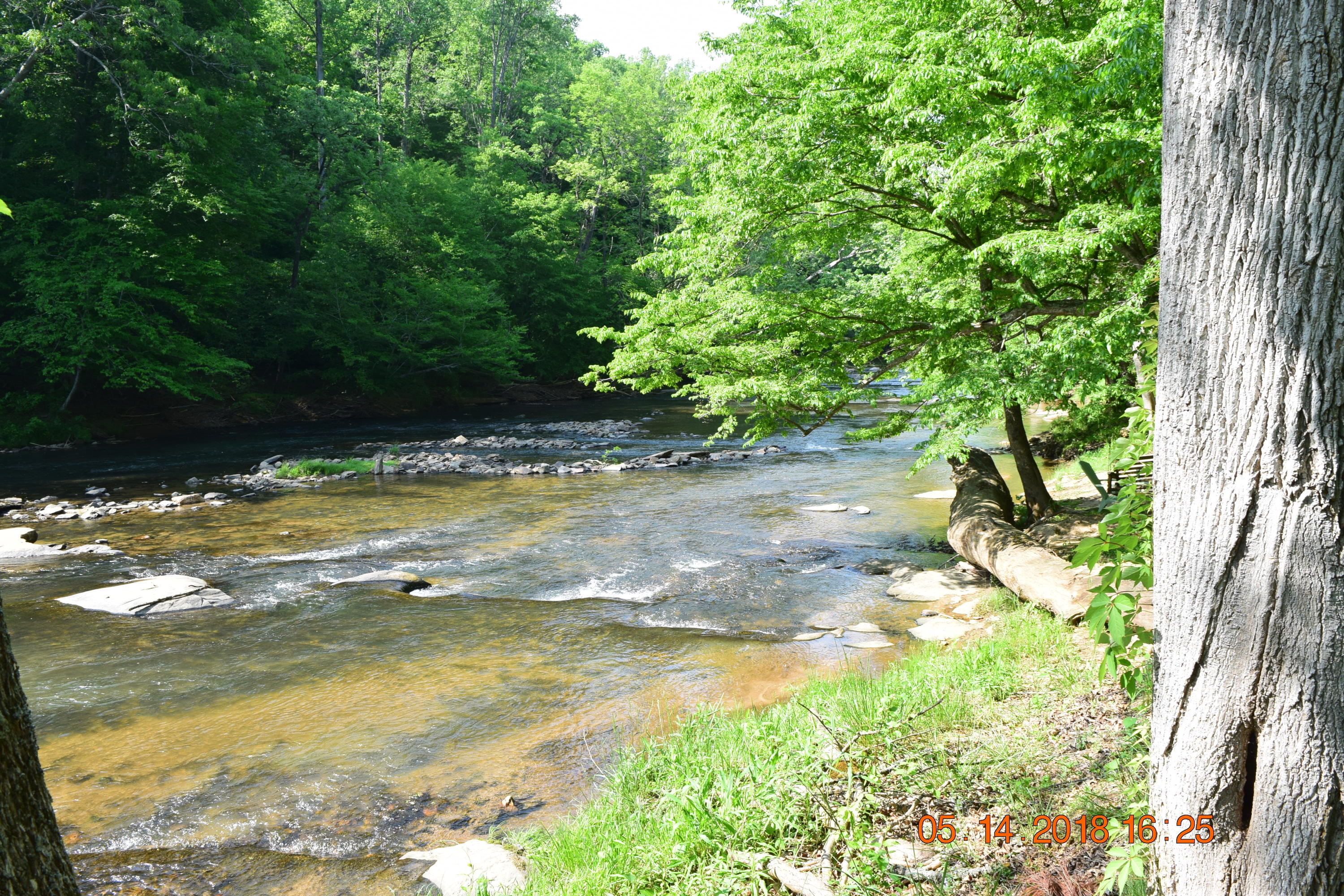 1813 Altice Mill Road Rocky Mount, VA 24151 - Photo 12 of 44 DSC_0989