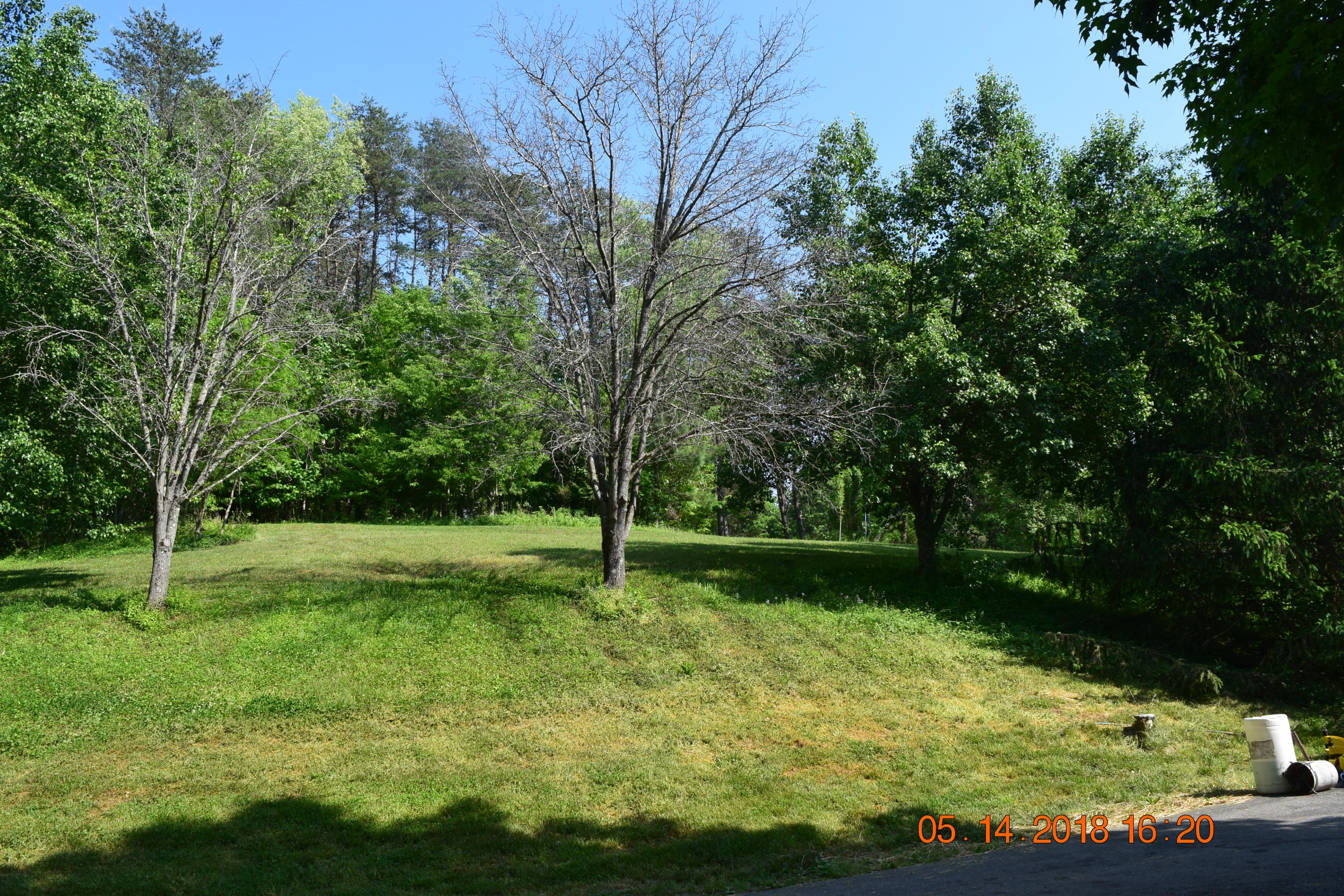 1813 Altice Mill Road Rocky Mount, VA 24151 - Photo 16 of 44 DSC_0978