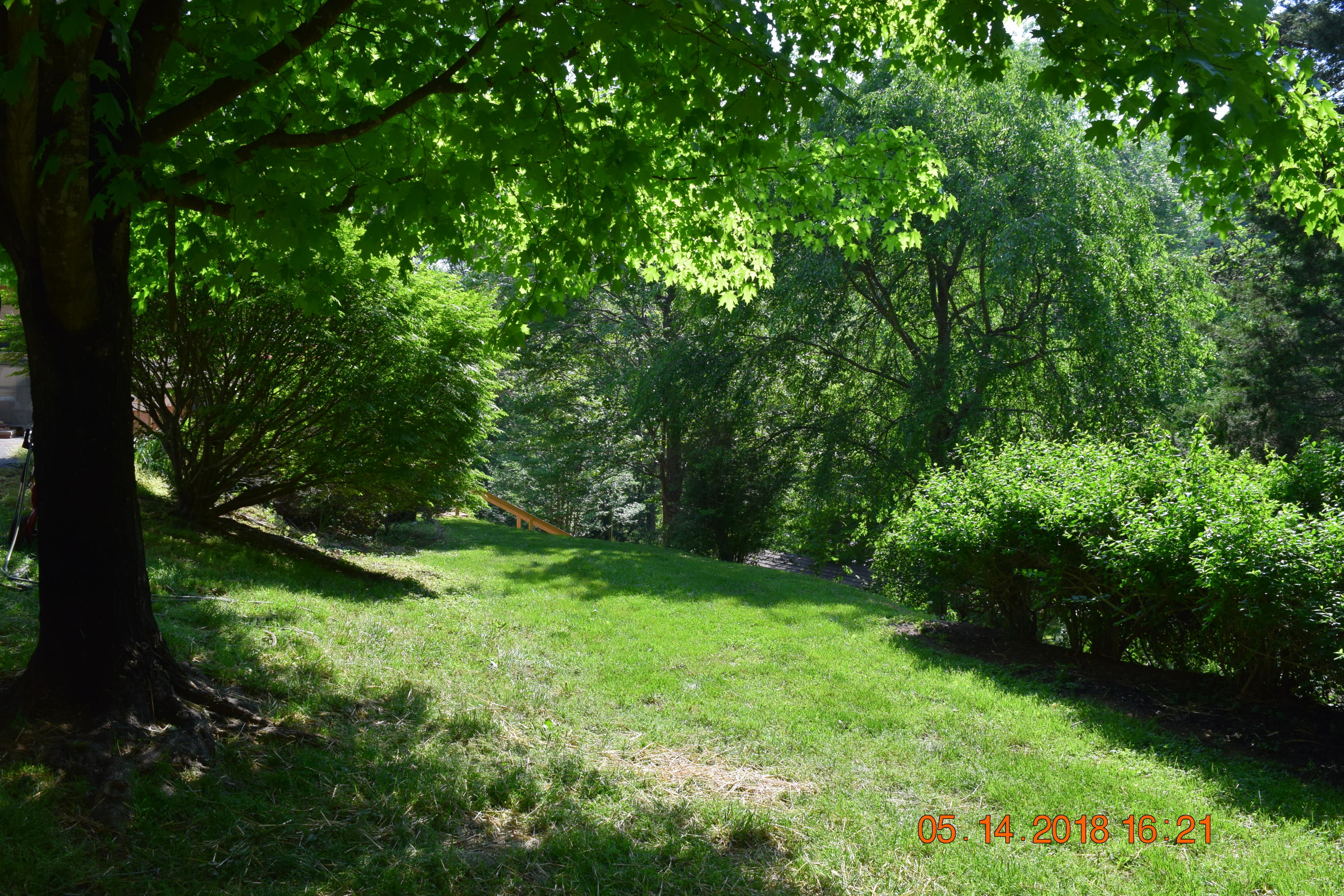 1813 Altice Mill Road Rocky Mount, VA 24151 - Photo 17 of 44 DSC_0979