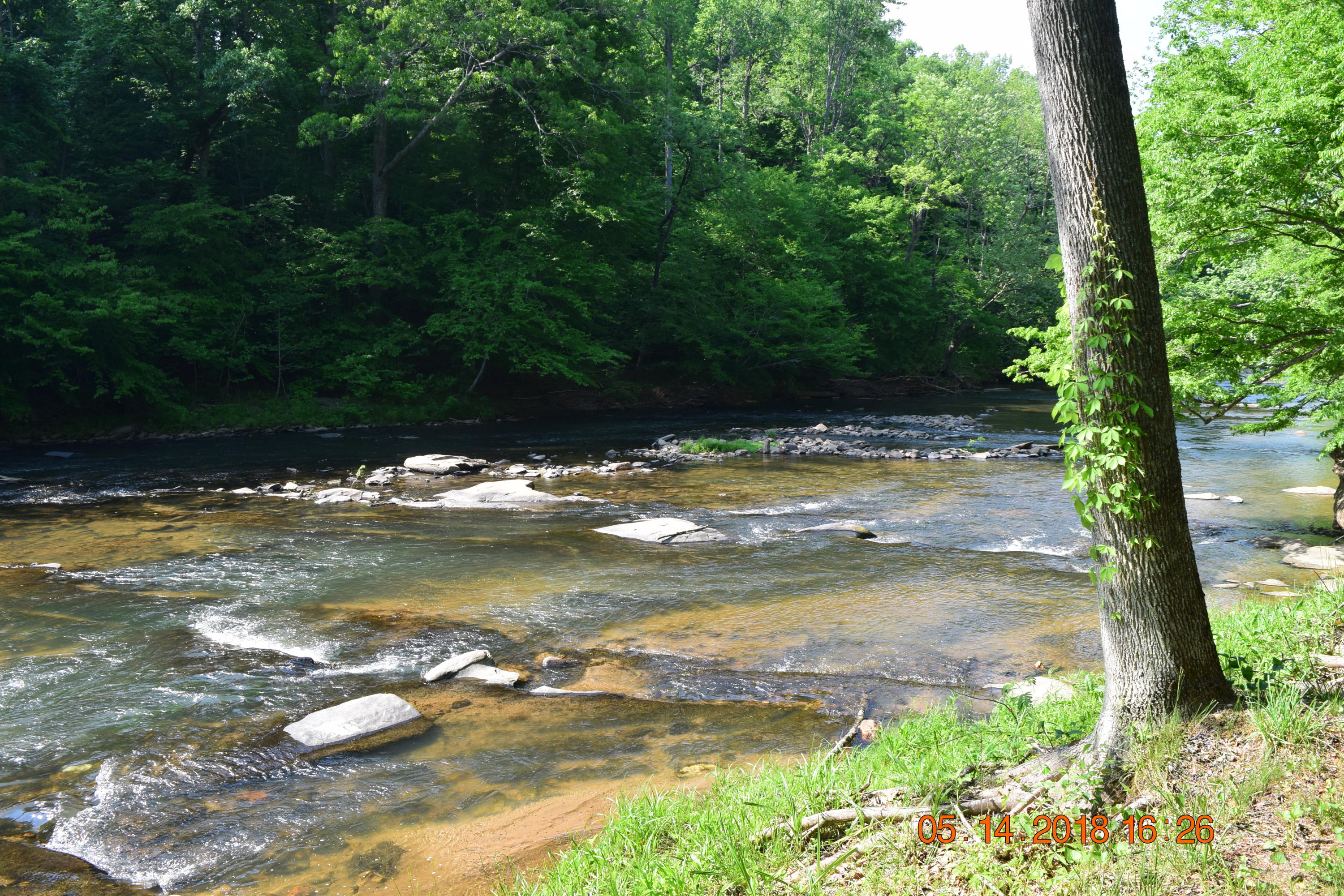 1813 Altice Mill Road Rocky Mount, VA 24151 - Photo 18 of 44 DSC_0990