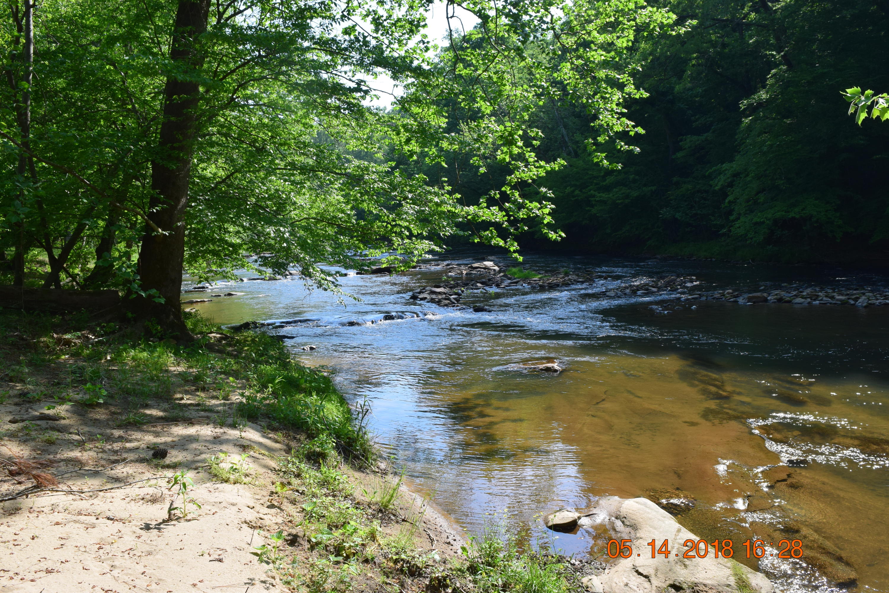 1813 Altice Mill Road Rocky Mount, VA 24151 - Photo 20 of 44 DSC_0995