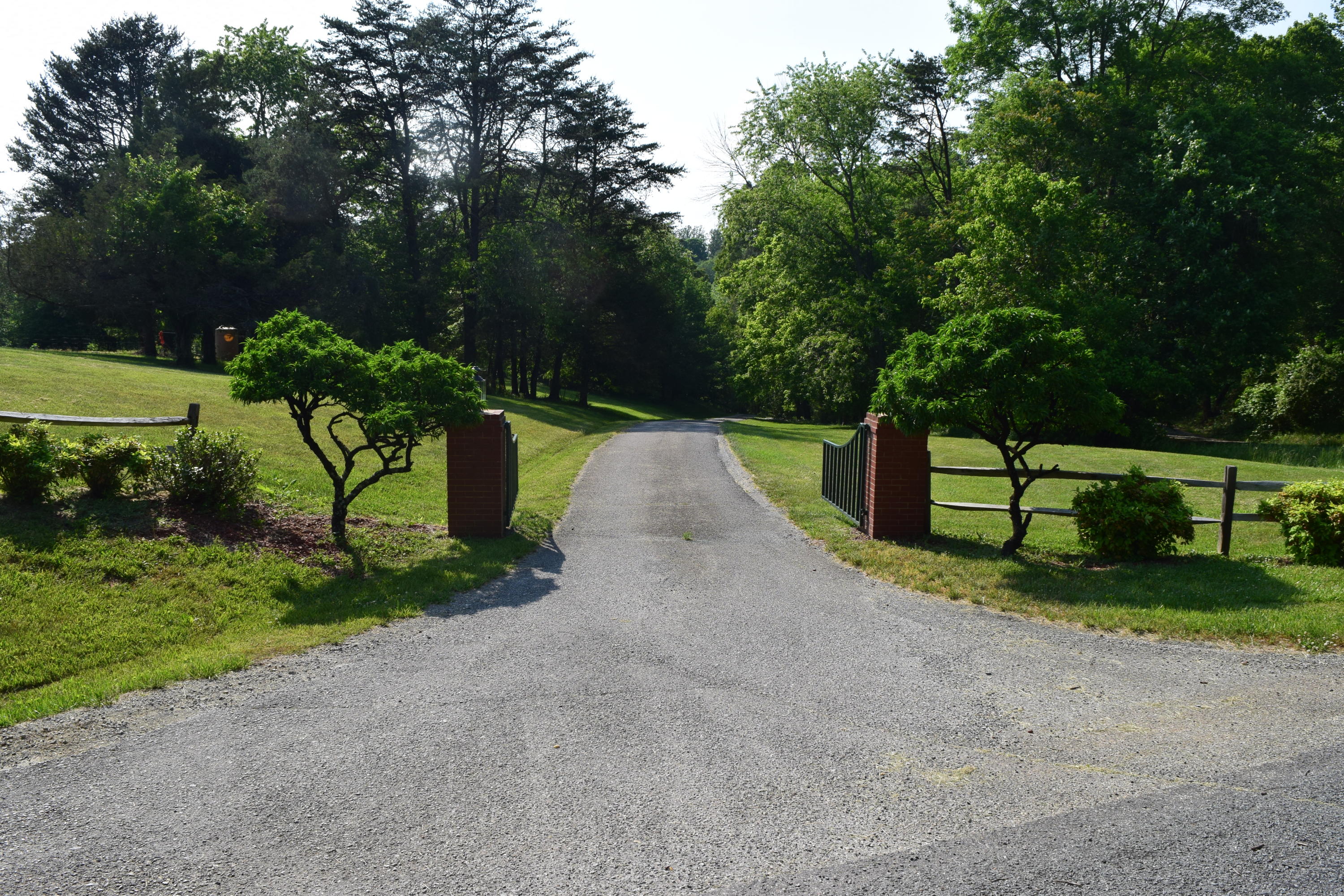 DSC_1008