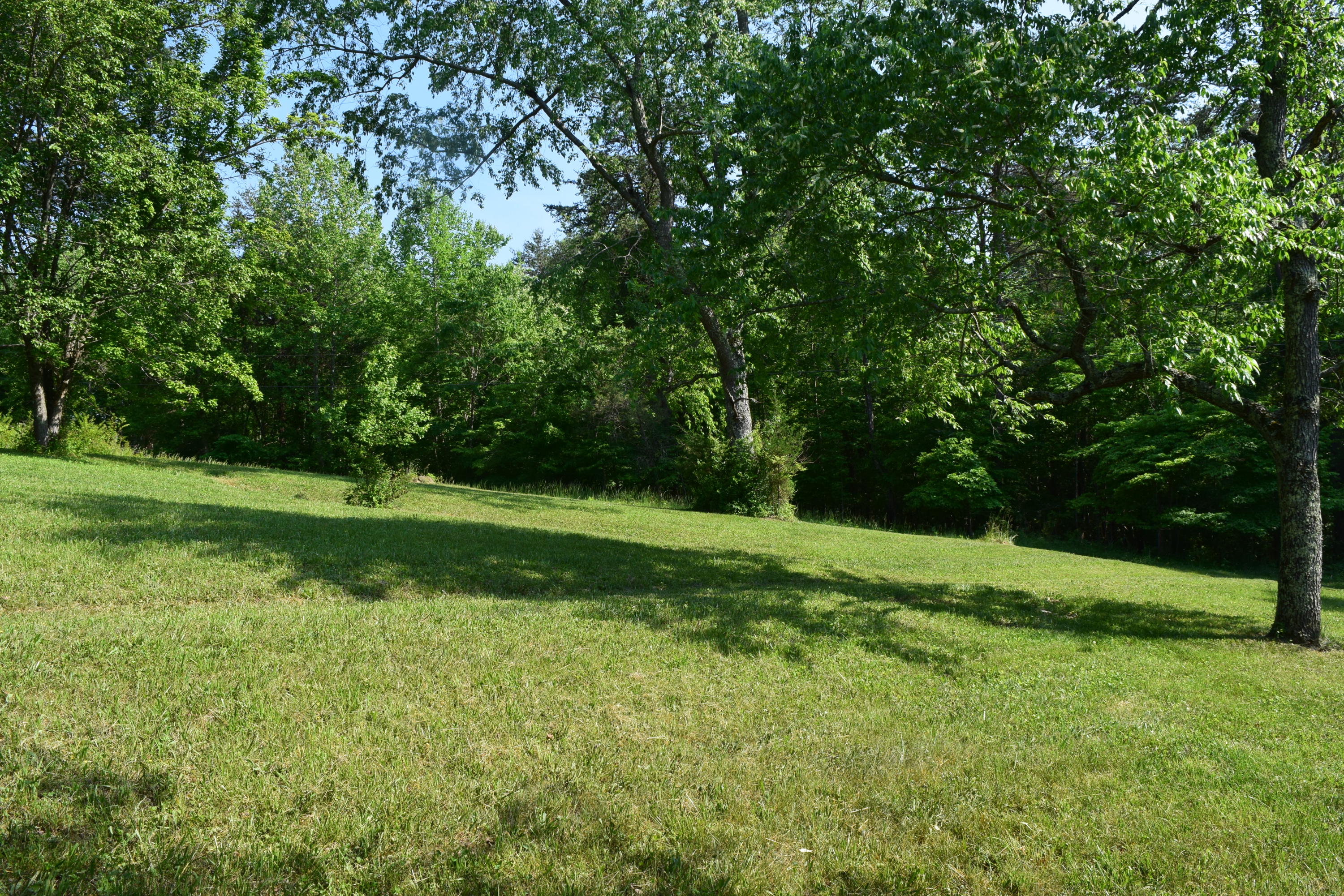 1813 Altice Mill Road Rocky Mount, VA 24151 - Photo 21 of 44 DSC_1001