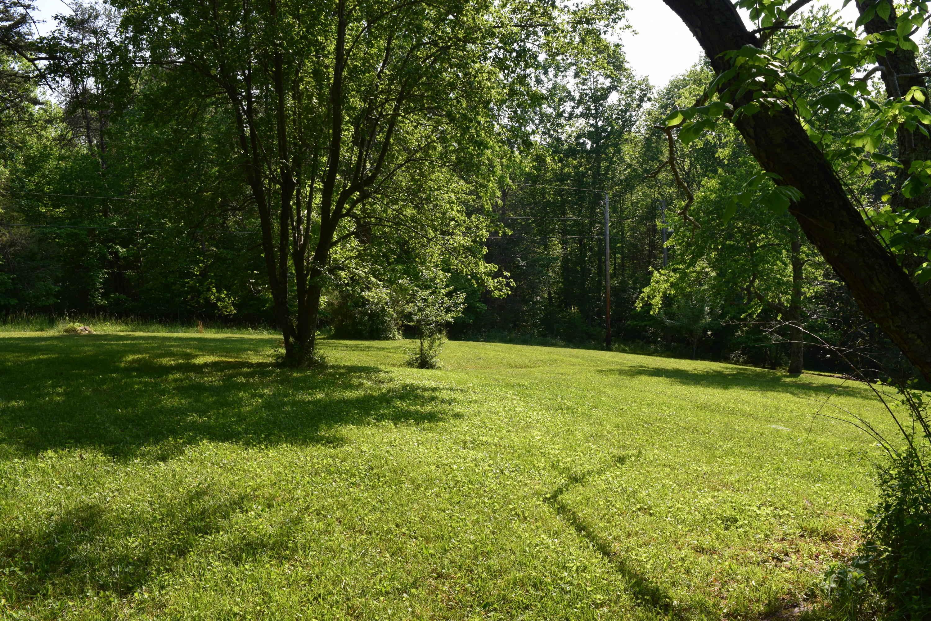 1813 Altice Mill Road Rocky Mount, VA 24151 - Photo 22 of 44 DSC_1005