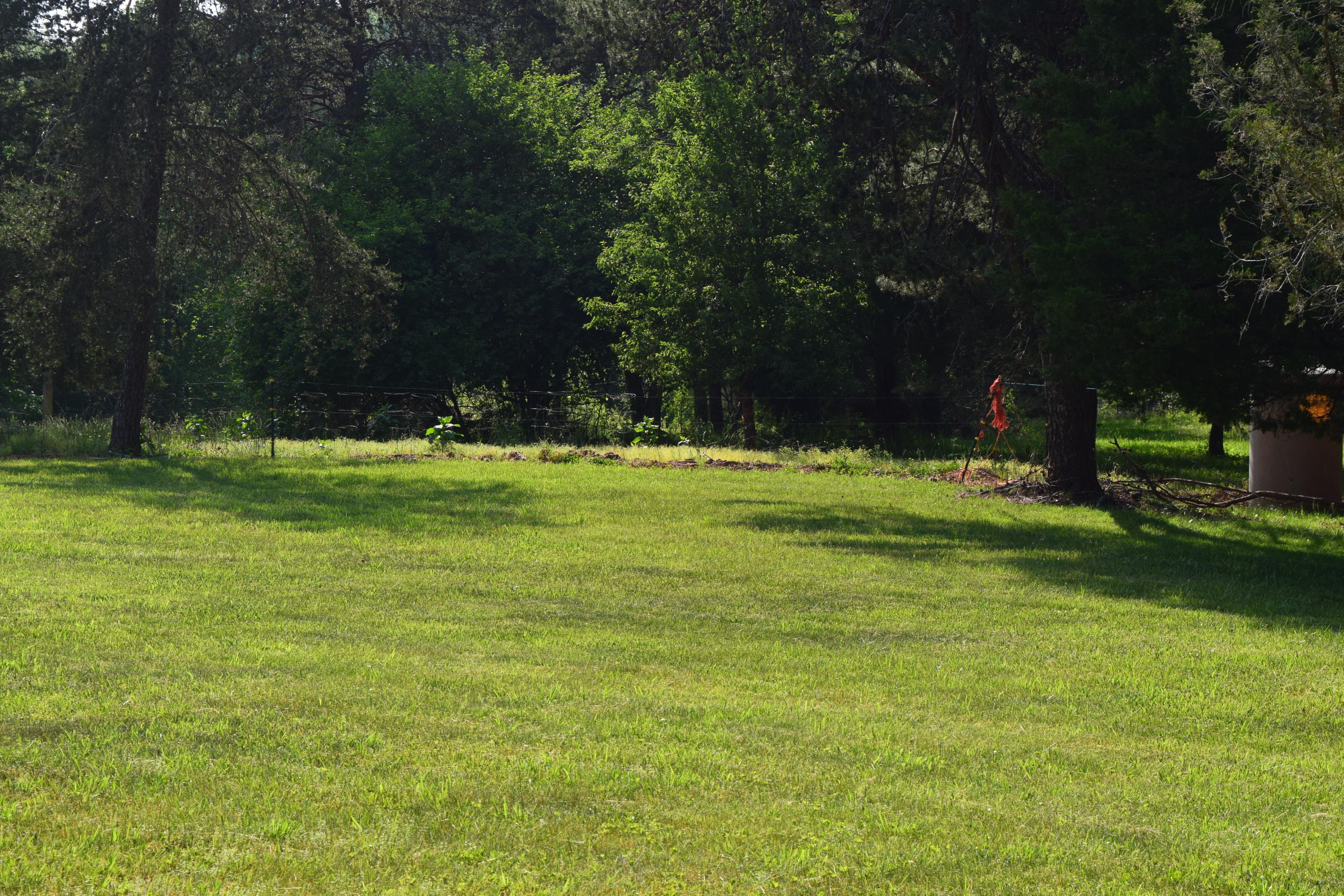 1813 Altice Mill Road Rocky Mount, VA 24151 - Photo 24 of 44 DSC_1010