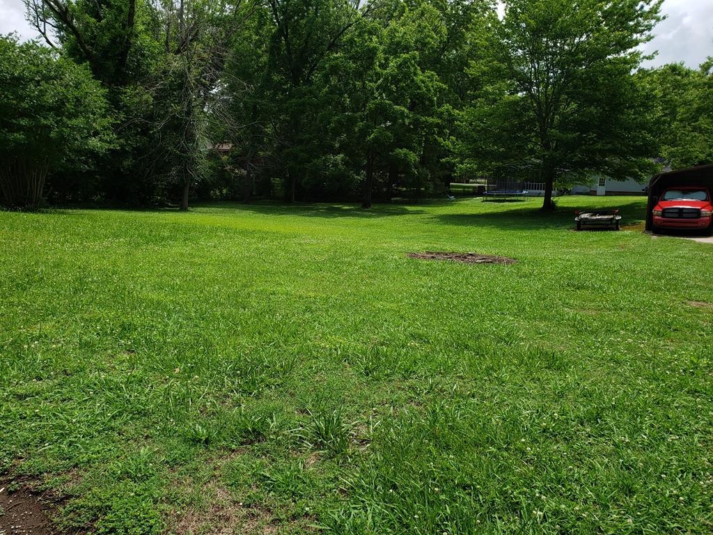 0 Georgetown Road Northwest Cleveland, TN 37311 - Photo 6 of 6 Gallery Image 6