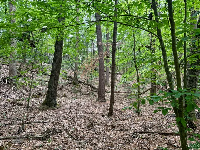 $49,900 | Beck Road, Blossvale, NY 13308