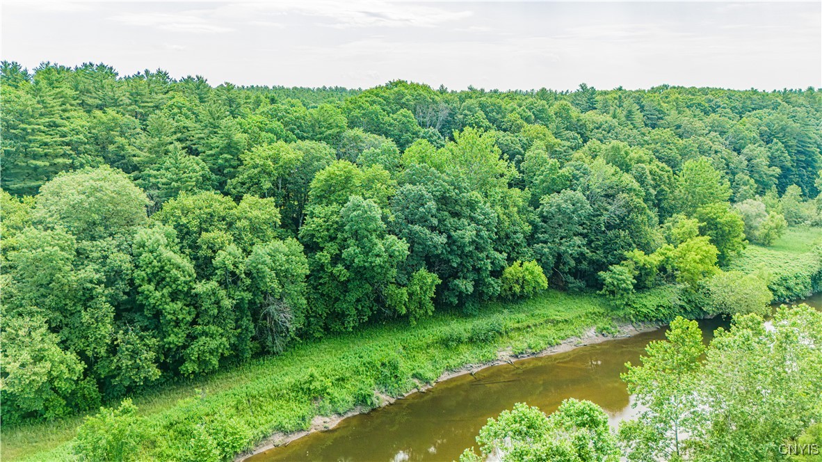 Beck Road Blossvale, NY 13308 - Photo 13 of 17