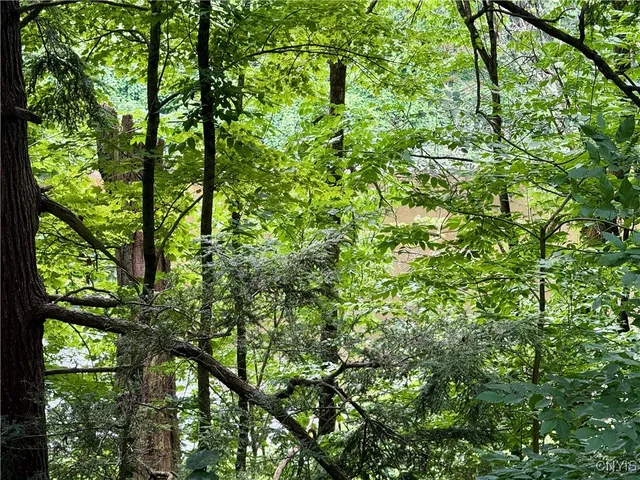 $49,900 | Beck Road, Blossvale, NY 13308