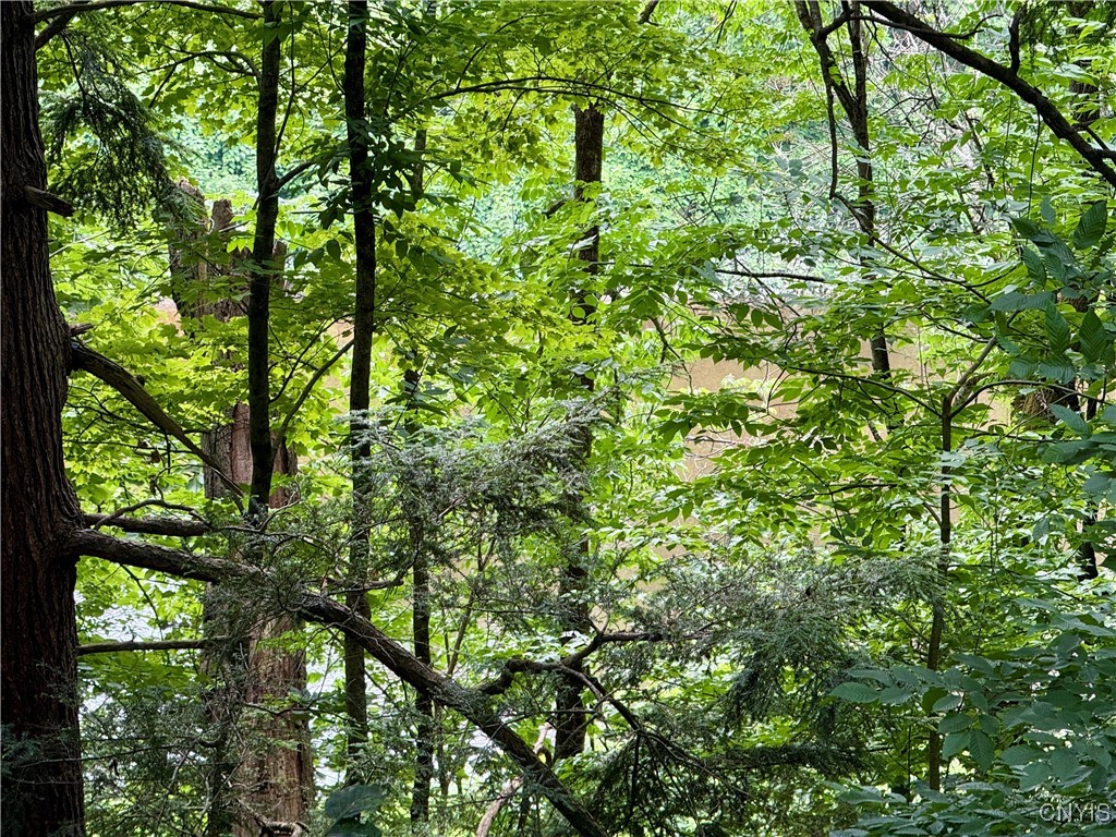 Beck Road Blossvale, NY 13308 - Photo 3 of 17