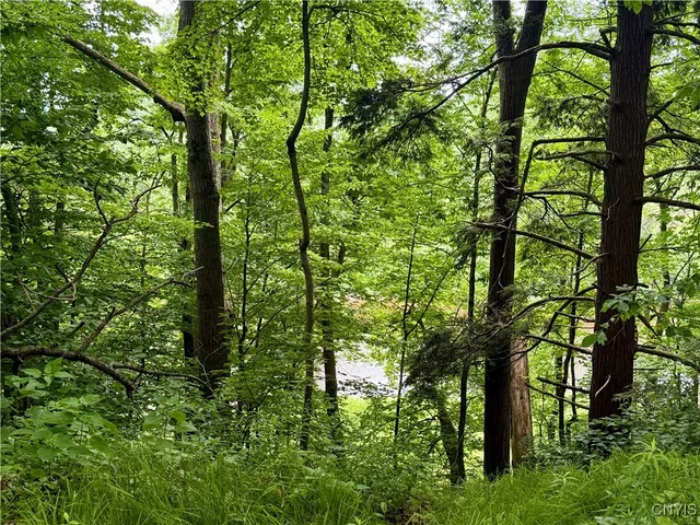 $49,900 | Beck Road, Blossvale, NY 13308