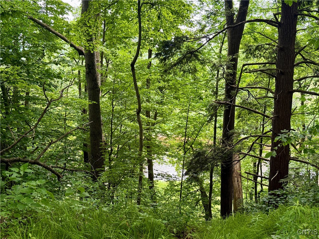 Beck Road Blossvale, NY 13308 - Photo 4 of 17