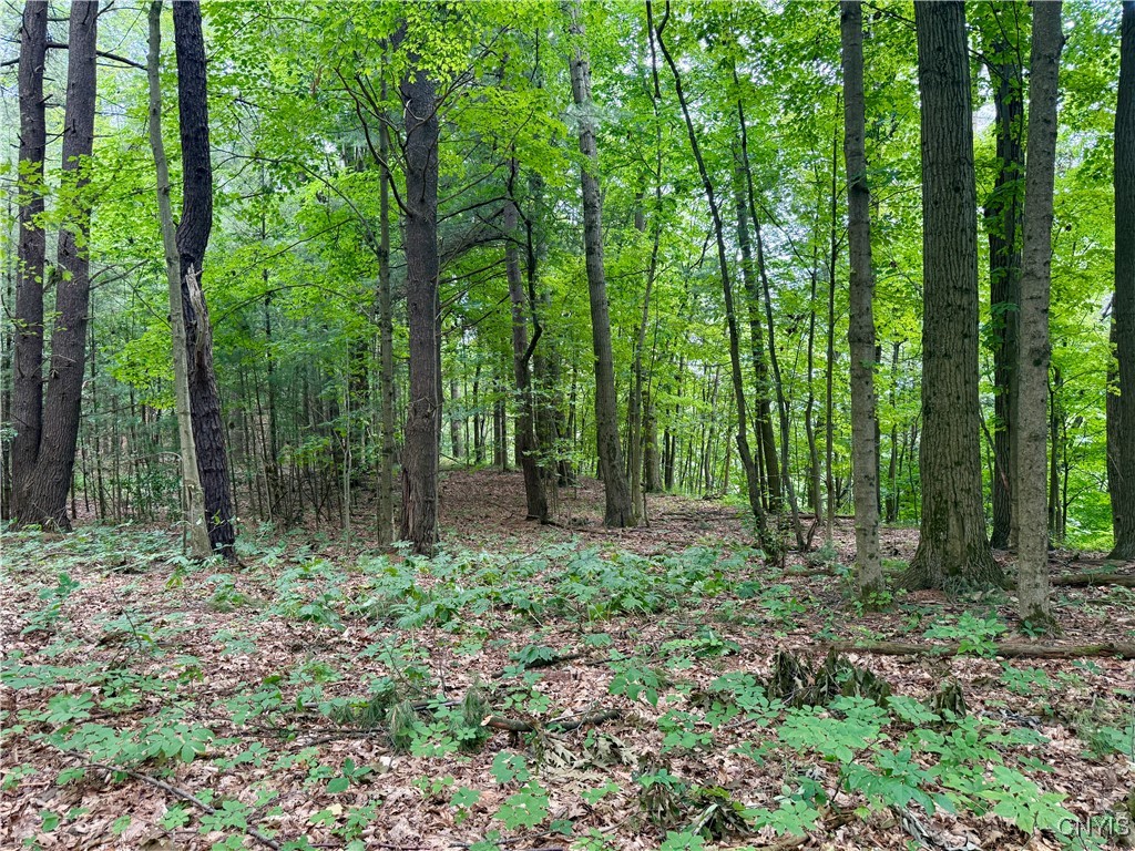 Beck Road Blossvale, NY 13308 - Photo 6 of 17