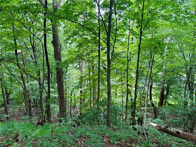 $49,900 | Beck Road, Blossvale, NY 13308