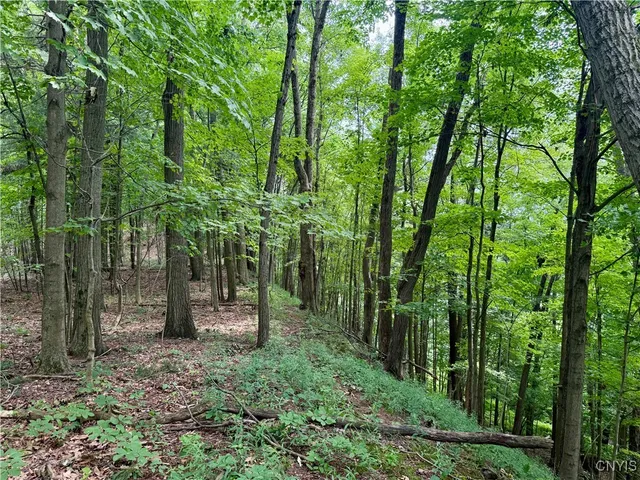 $49,900 | Beck Road, Blossvale, NY 13308