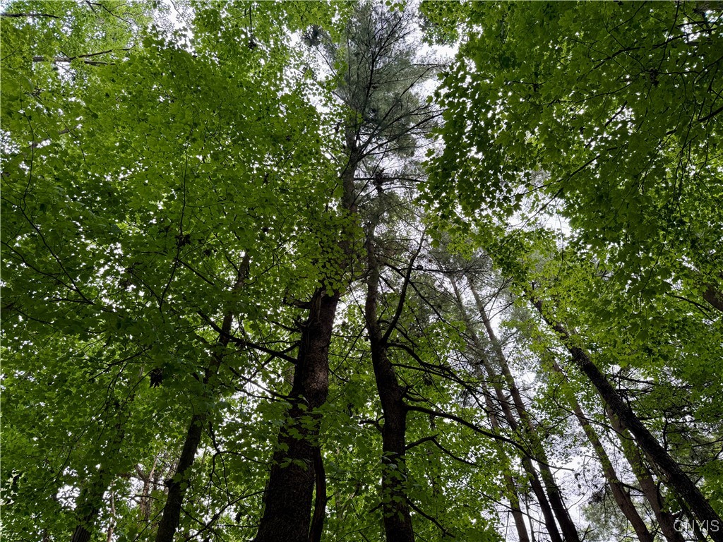 Beck Road Blossvale, NY 13308 - Photo 9 of 17