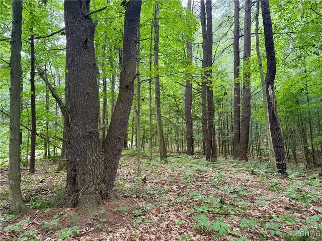 $49,900 | Beck Road, Blossvale, NY 13308