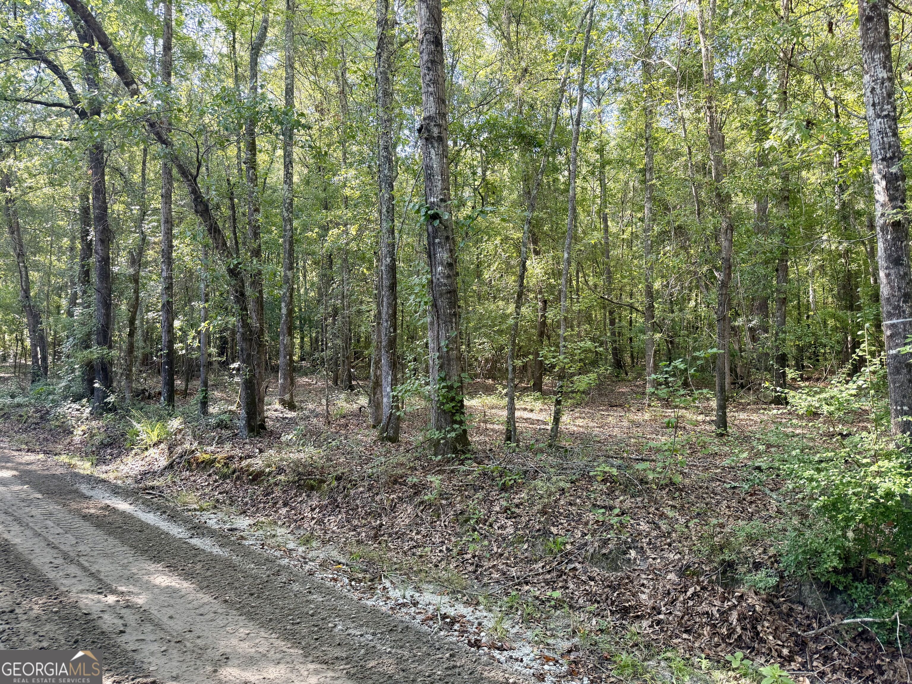 5 Chapman Road Fayetteville, GA 30215 - Photo 10 of 30 Gallery Image 10