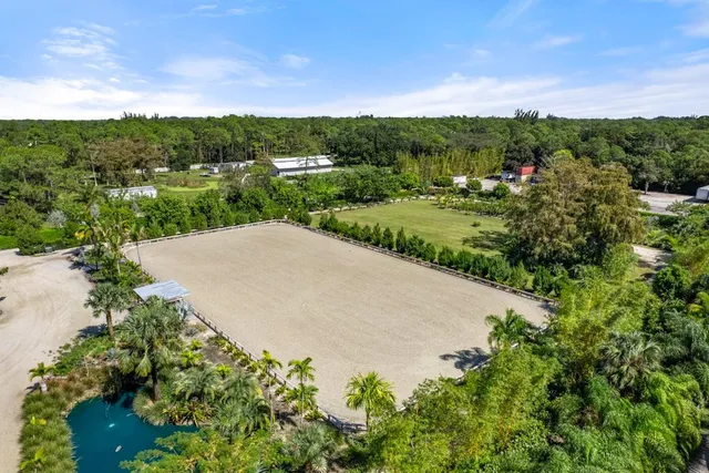 a view of a garden with a building in the background