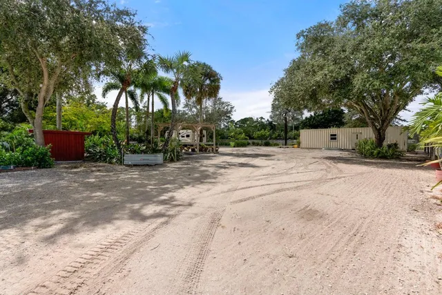 a road view with yard