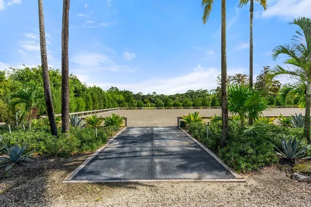 a view of park with large tree