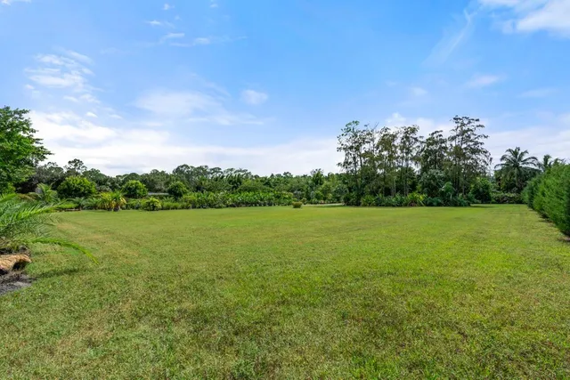 a view of a green field with clear sky