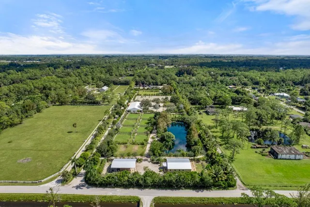 an aerial view of a residential houses with outdoor space and trees