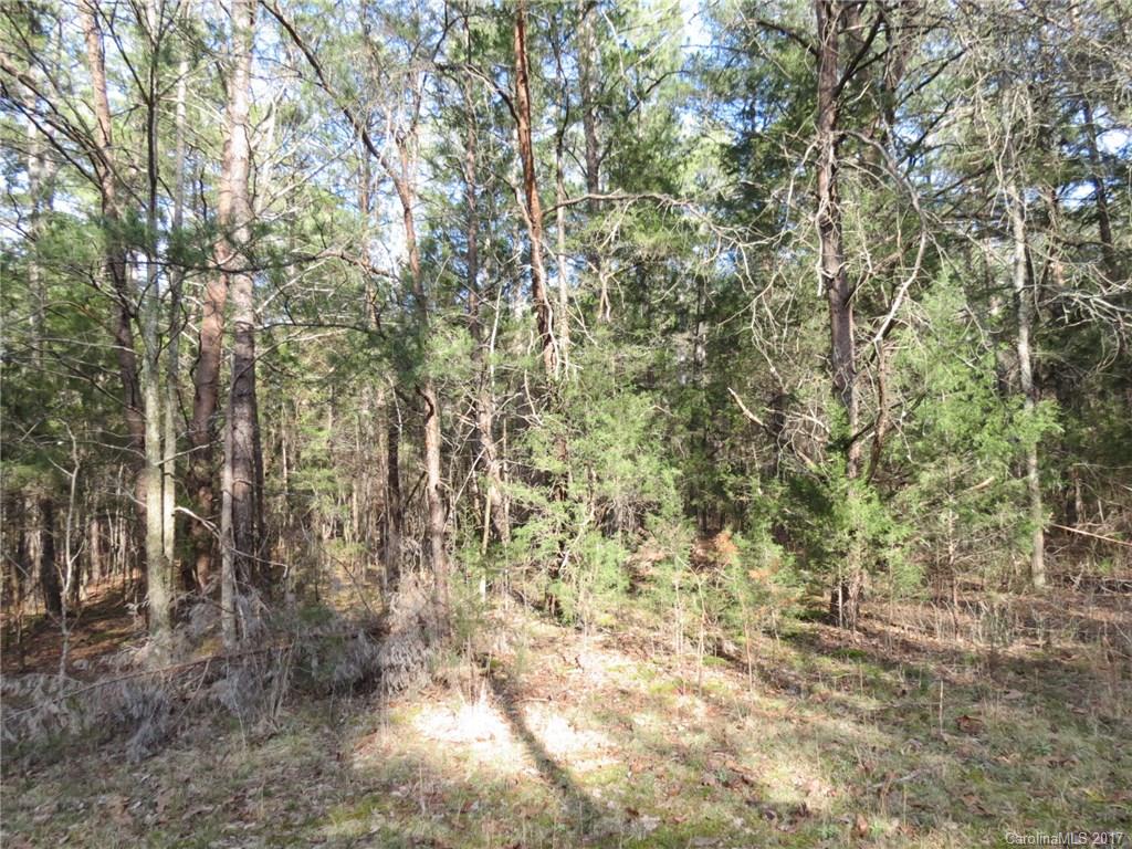 69-acres Center Road Chester, SC 29706 - Photo 3 of 14