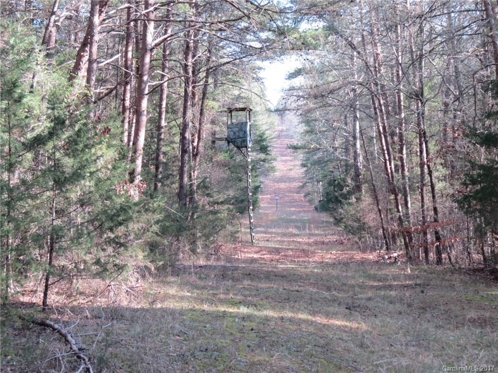 69-acres Center Road Chester, SC 29706 - Photo 4 of 14