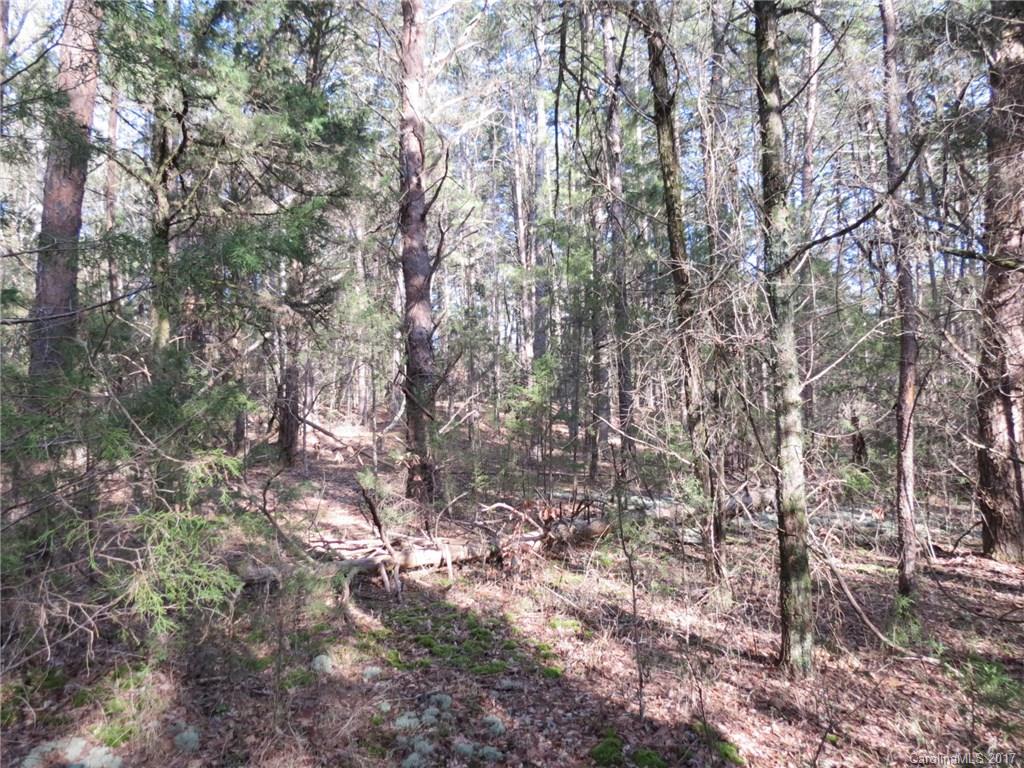 69-acres Center Road Chester, SC 29706 - Photo 5 of 14