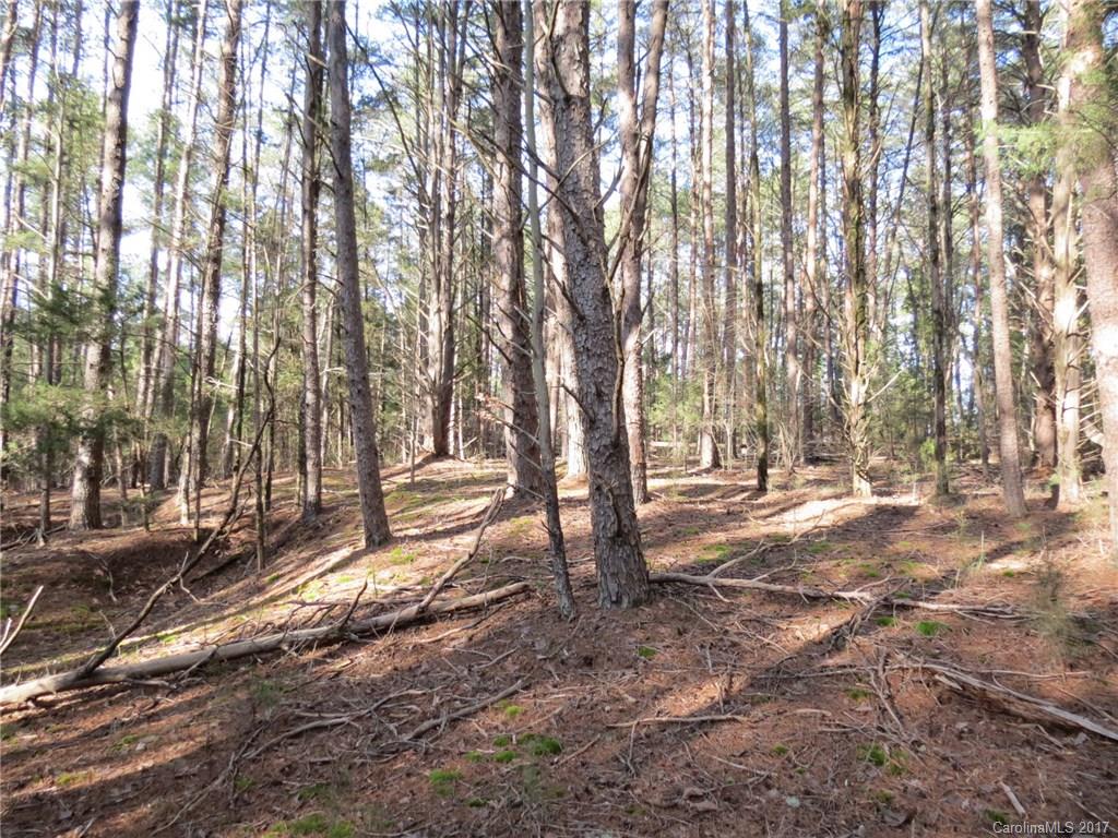 69-acres Center Road Chester, SC 29706 - Photo 8 of 14