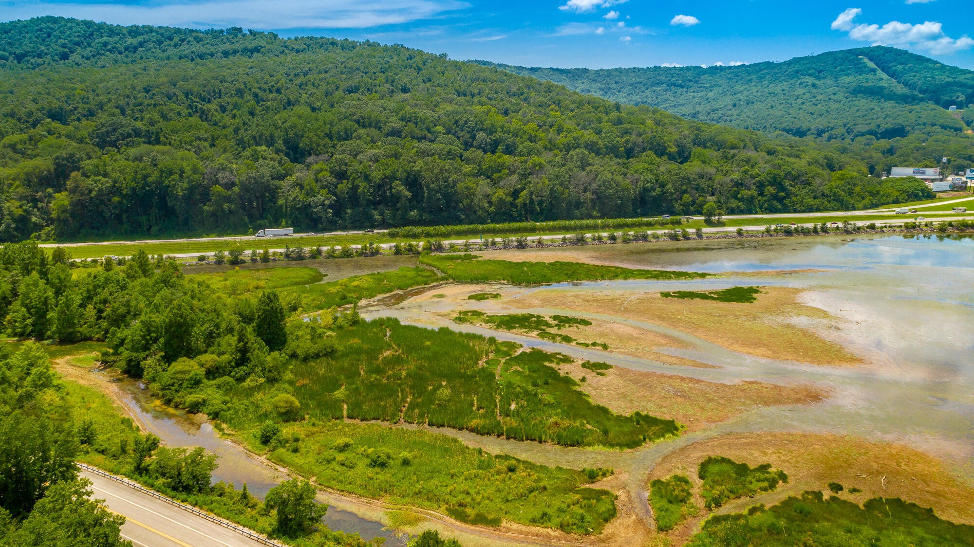 0 Highway 134 Guild, TN 37340 - Photo 15 of 68 a view of a swimming pool and a yard