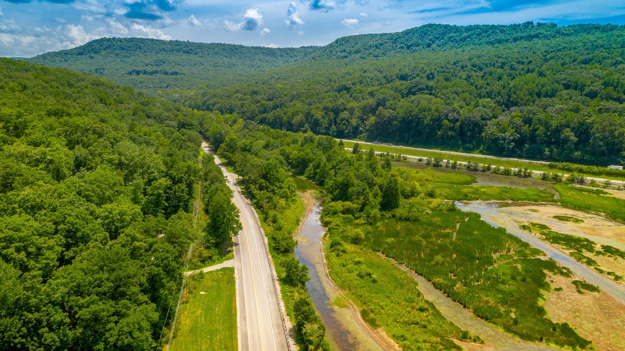 0 Highway 134 Guild, TN 37340 - Photo 16 of 68 a view of a yard with a large trees