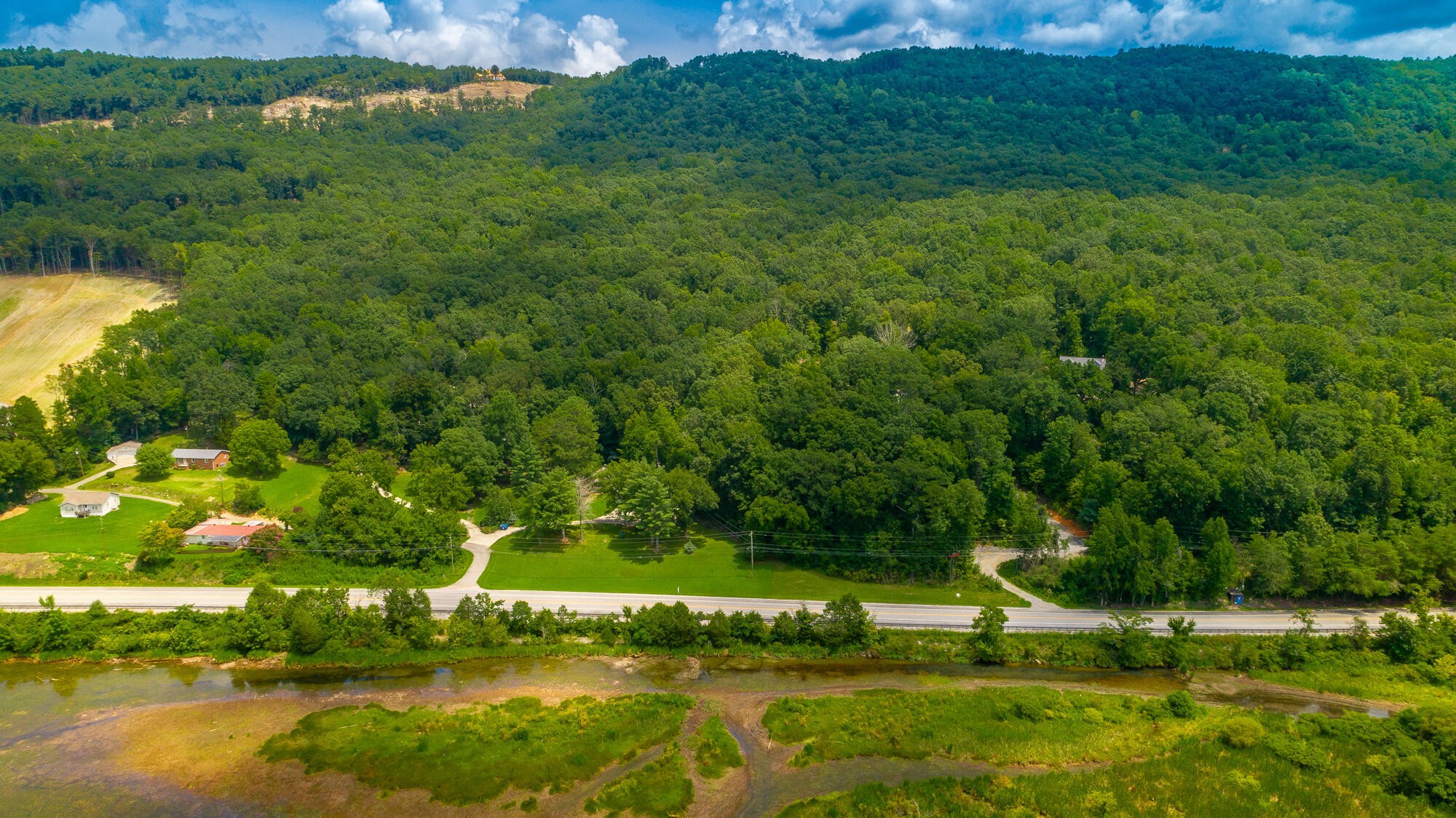 0 Highway 134 Guild, TN 37340 - Photo 21 of 68 a view of a garden with a lake