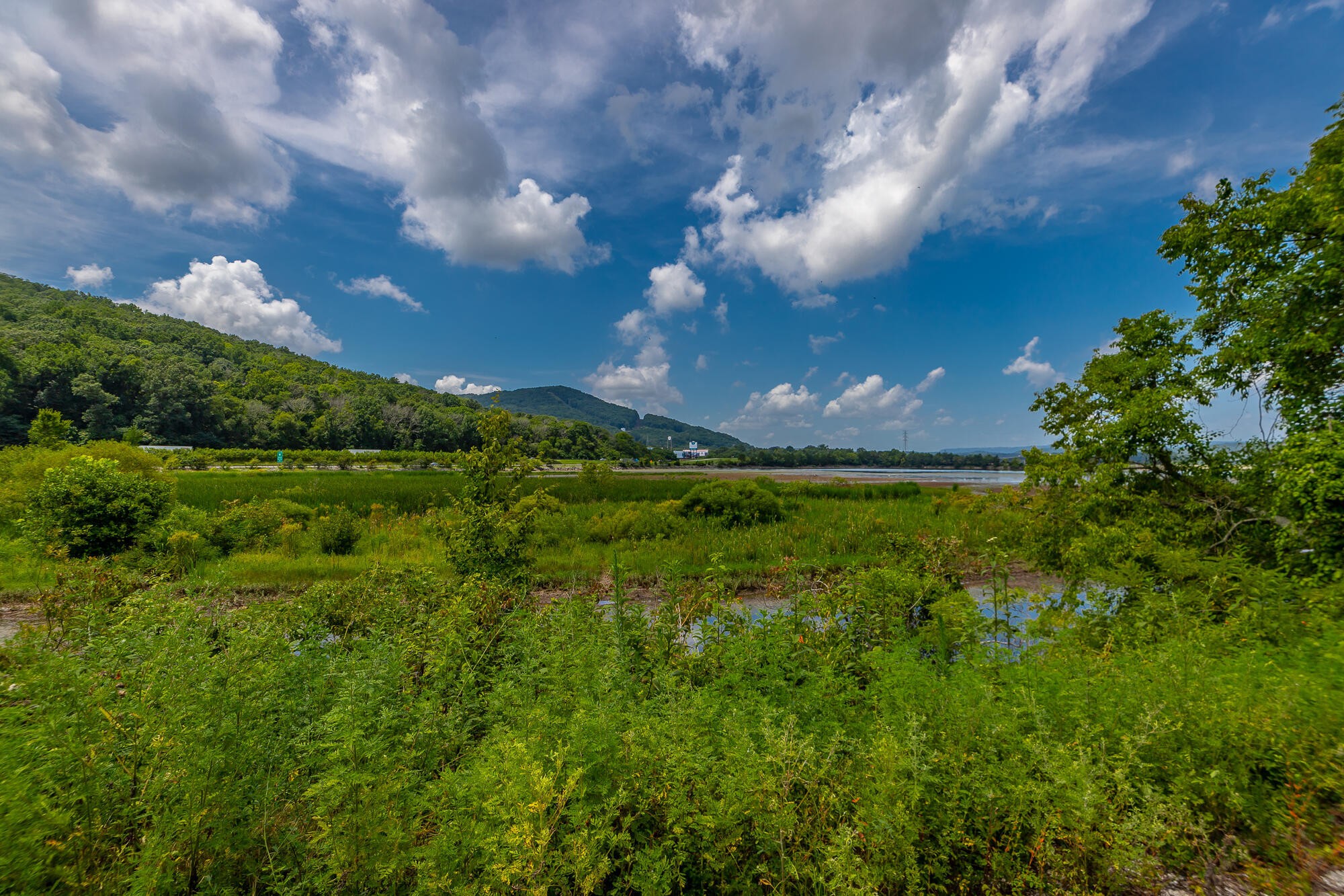 0 Highway 134 Guild, TN 37340 - Photo 29 of 68 a view of a big yard