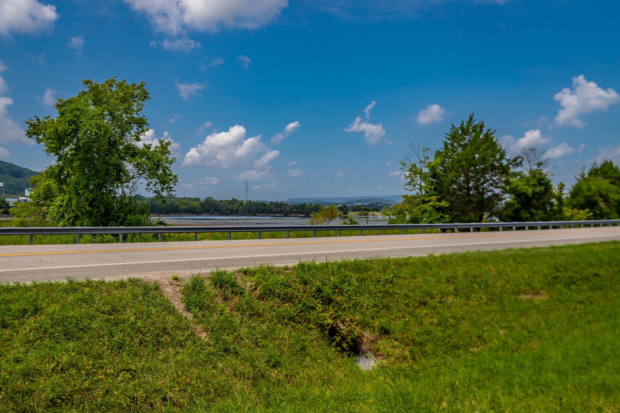 0 Highway 134 Guild, TN 37340 - Photo 30 of 68 a view of a green field