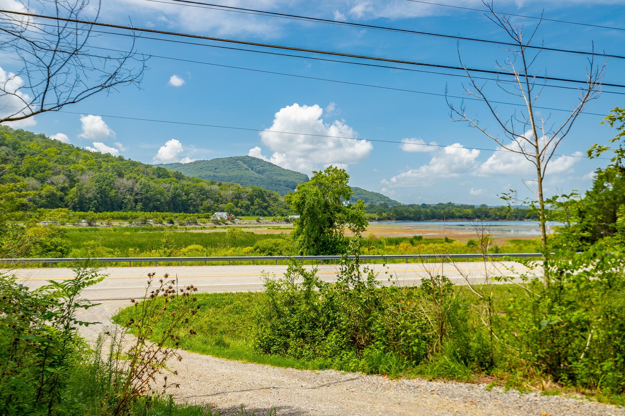 0 Highway 134 Guild, TN 37340 - Photo 34 of 68